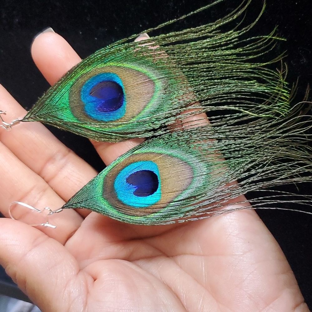 Small,Peacock Feather Earrings.